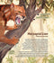 Mega! A new picture book celebrating Australia's megafauna