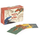 Match These Bones: A Dinosaur Memory Game