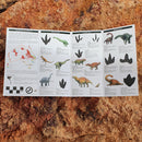 Australian Dinosaurs: A folding pocket guide