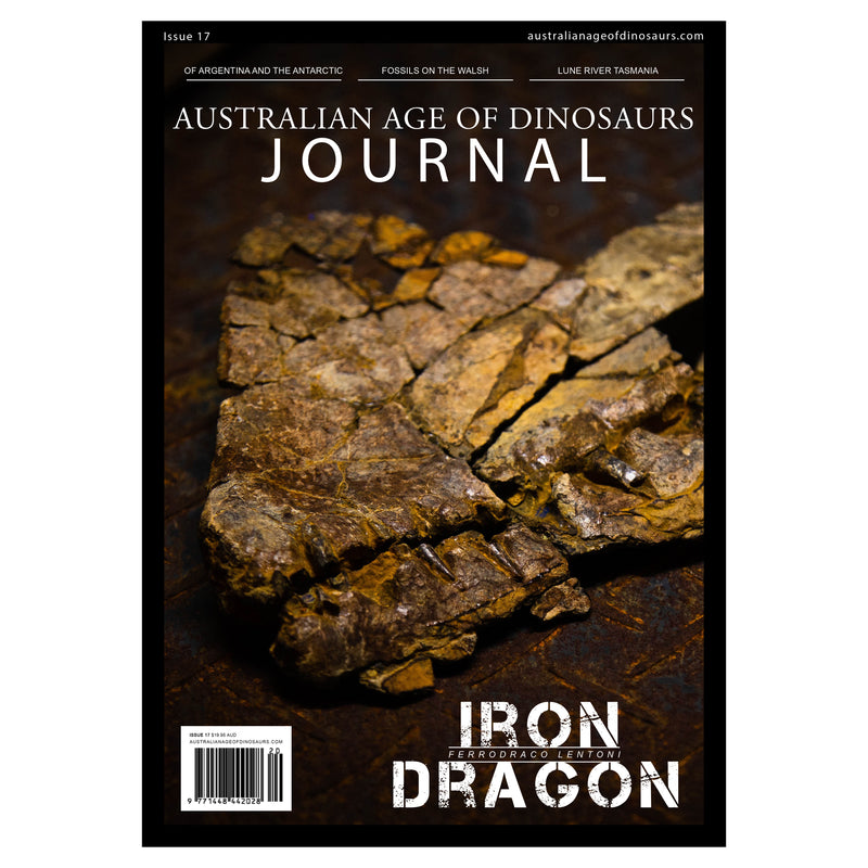 AAOD Journal, Issue 17 (2020)