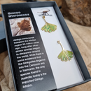 "Ginkgo wintonensis" leaf earrings (brass)