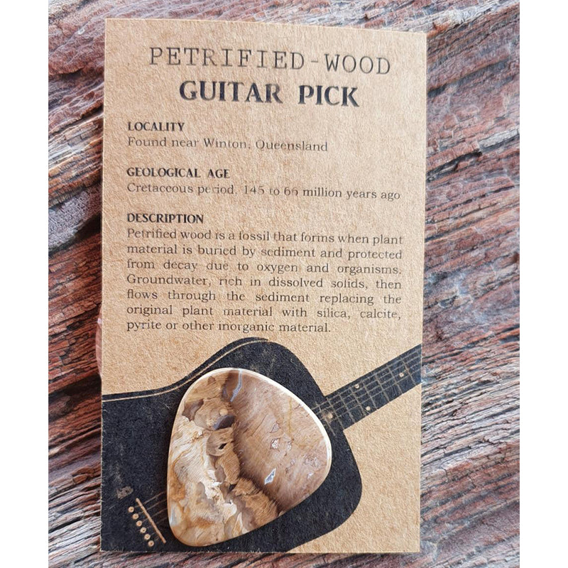 Collectible petrified-wood guitar picks
