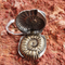 Ammonite concretion keyring
