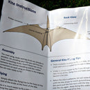 Pterosaur kite