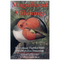 Magnificent Mihirungs: The Colossal Flightless Birds of the Australian Dreamtime (Life of the Past) by Peter Murray and Patricia Vickers-Rich. 