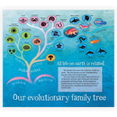 Grandmother Fish: A Child's First Book of Evolution