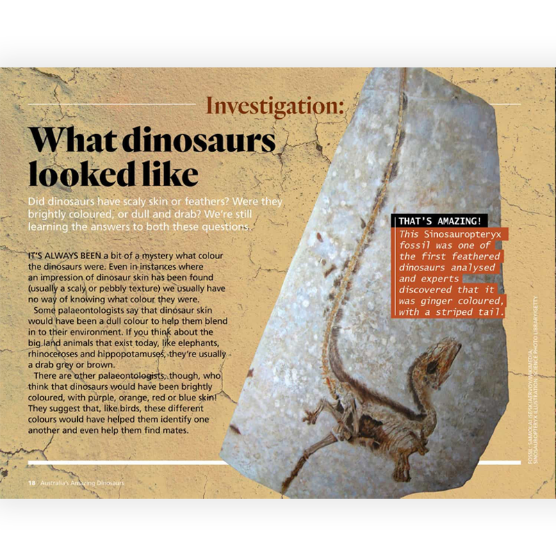 Australian Geographic: Australia's Amazing Dinosaurs