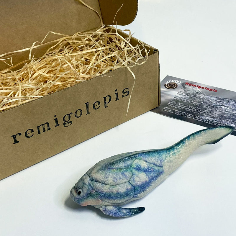 "Remigolepis" 3D-printed model