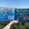Grandmother Fish: A Child's First Book of Evolution