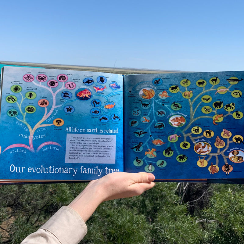 Grandmother Fish: A Child's First Book of Evolution
