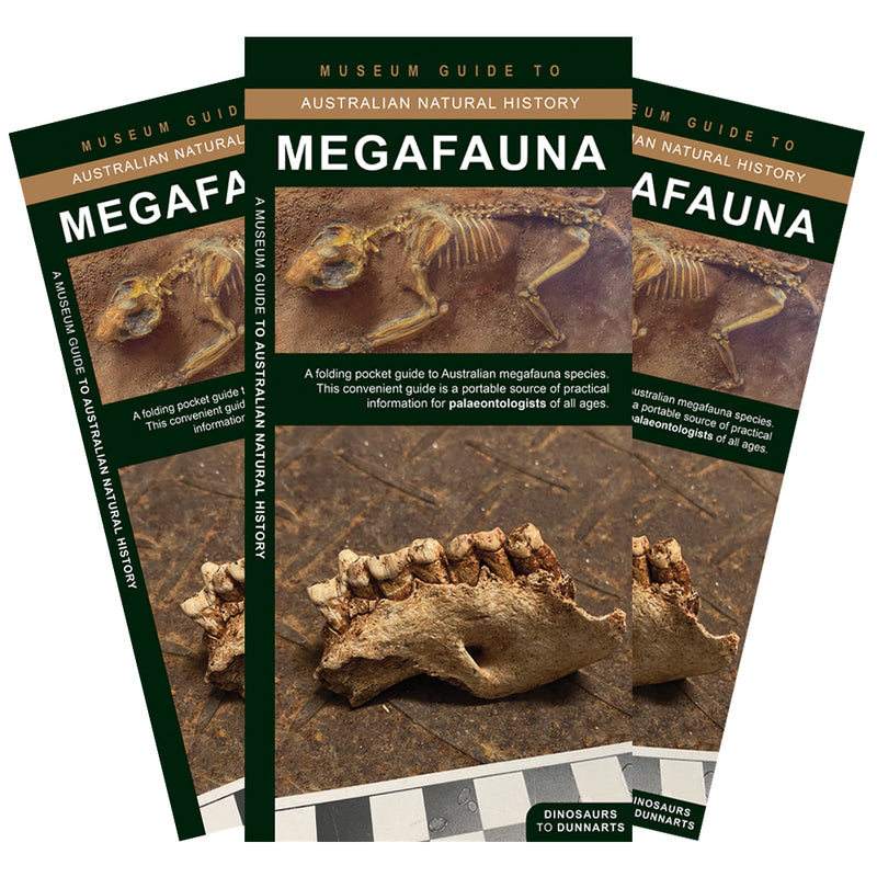 Megafauna: A folding pocket guide