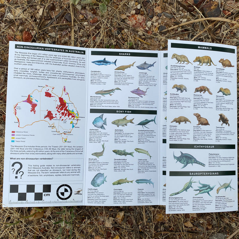 Non-Dinosaurian vertebrates: A folding pocket guide