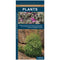 Winton plants: A folding pocket guide
