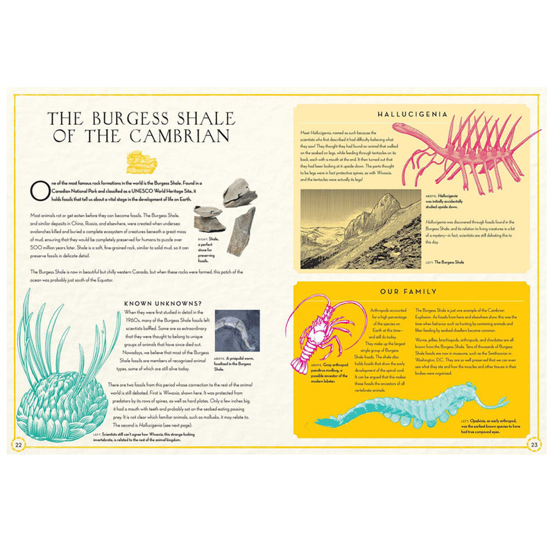 Continental Drift, The Evolution of Our World from the Origins of Life to the Far Future